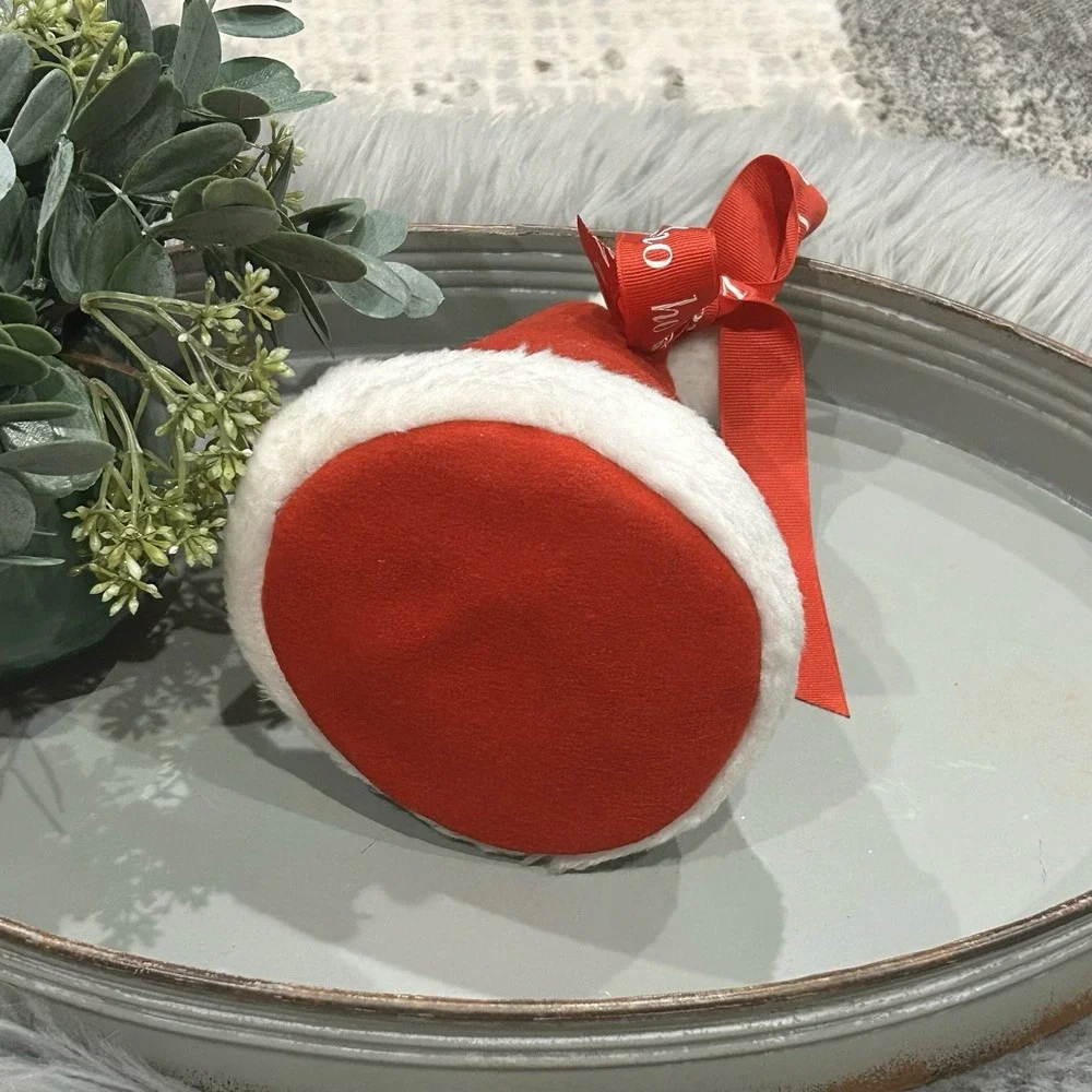 Crate & Barrel Holiday Santa Zipper Pouch Christmas‎ Accessory Decor